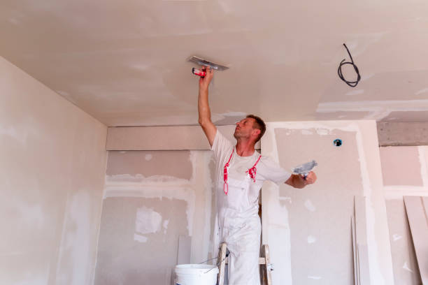 Best Interior Painting  in Plainview, TX